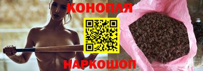 спайс Кингисепп
