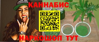 спайс Кингисепп