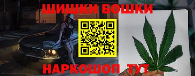 спайс Кингисепп
