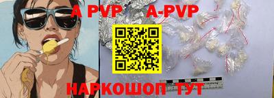 спайс Кингисепп