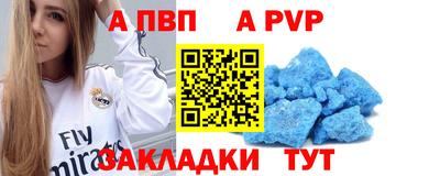 спайс Кингисепп