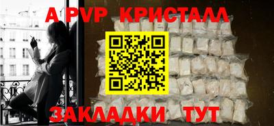 спайс Кингисепп