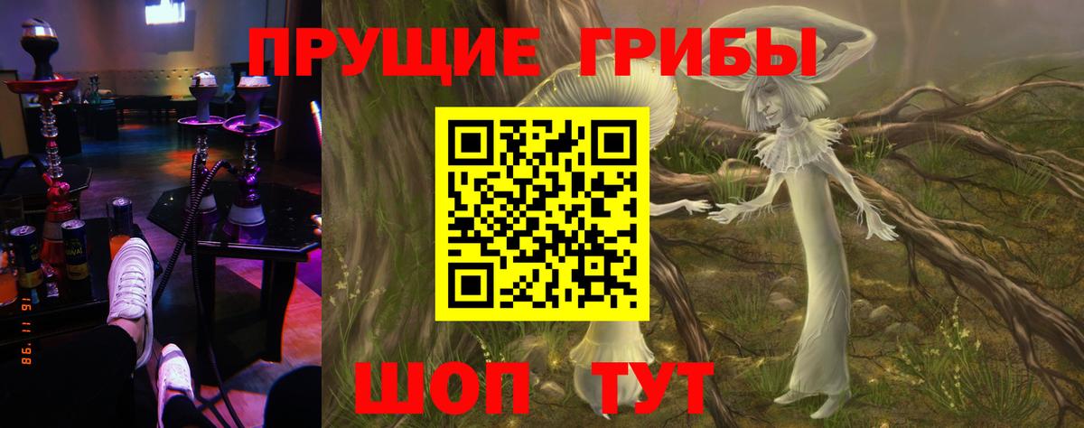Галлюциногенные грибы Cubensis Красноярск